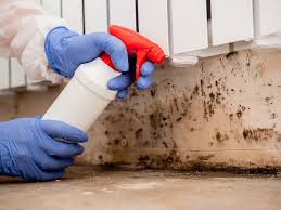 Best Real Estate Mold Inspection in USA